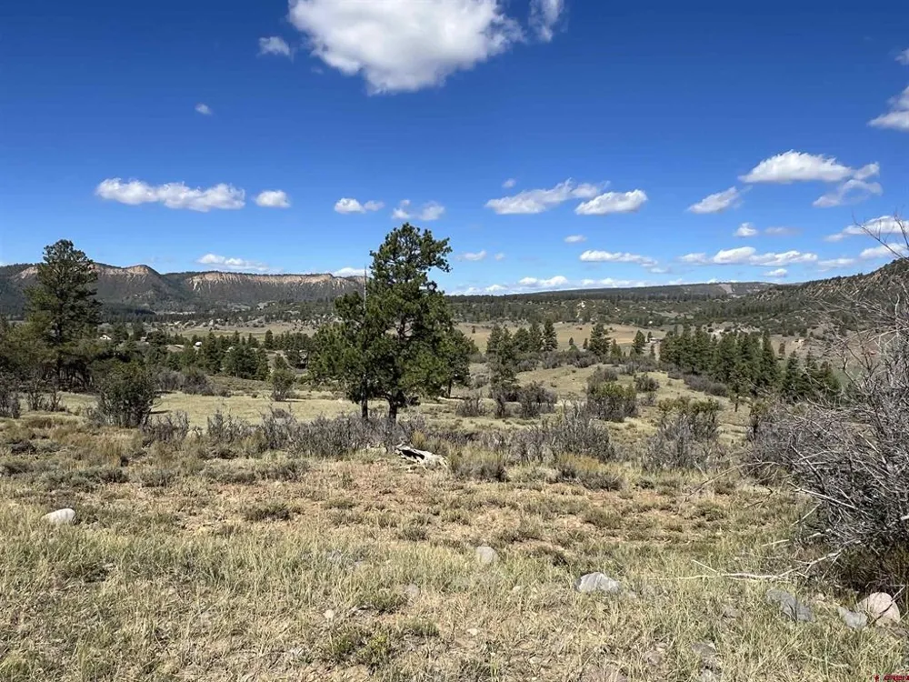 362 Mary's Court Pagosa Springs, CO 81128