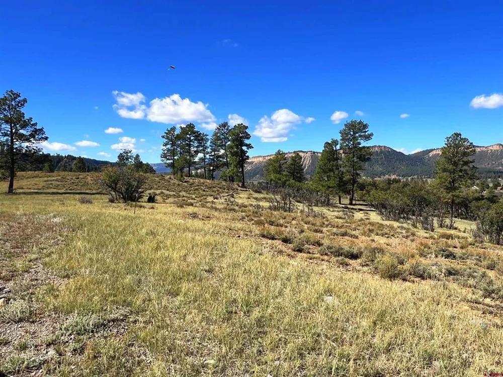 362 Mary's Court Pagosa Springs, CO 81128