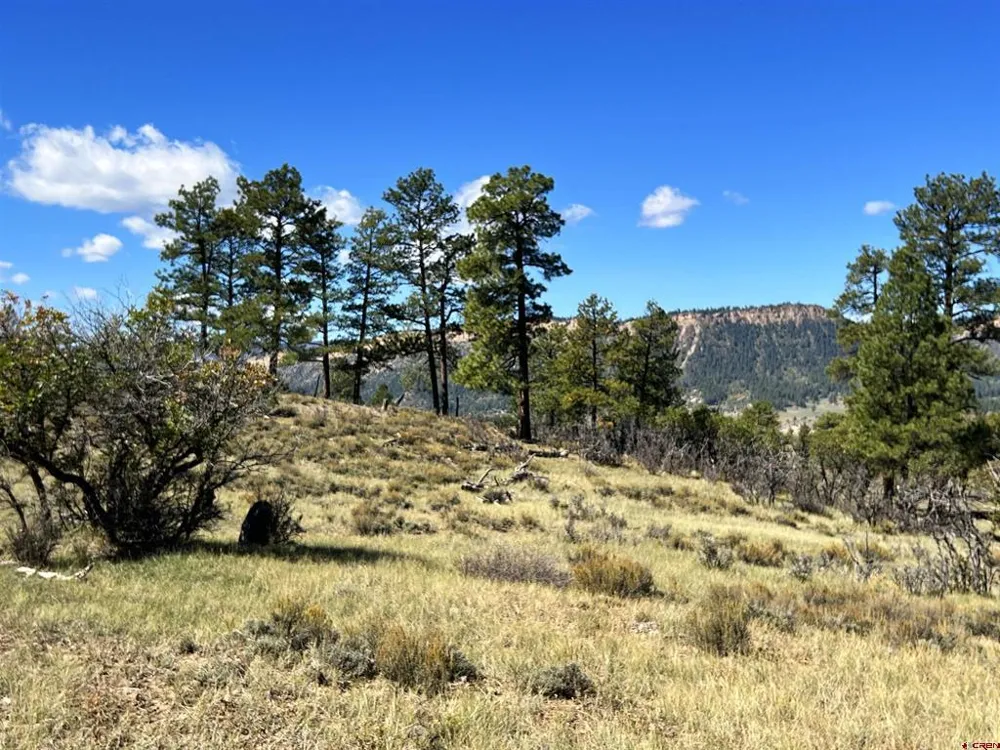 362 Mary's Court Pagosa Springs, CO 81128