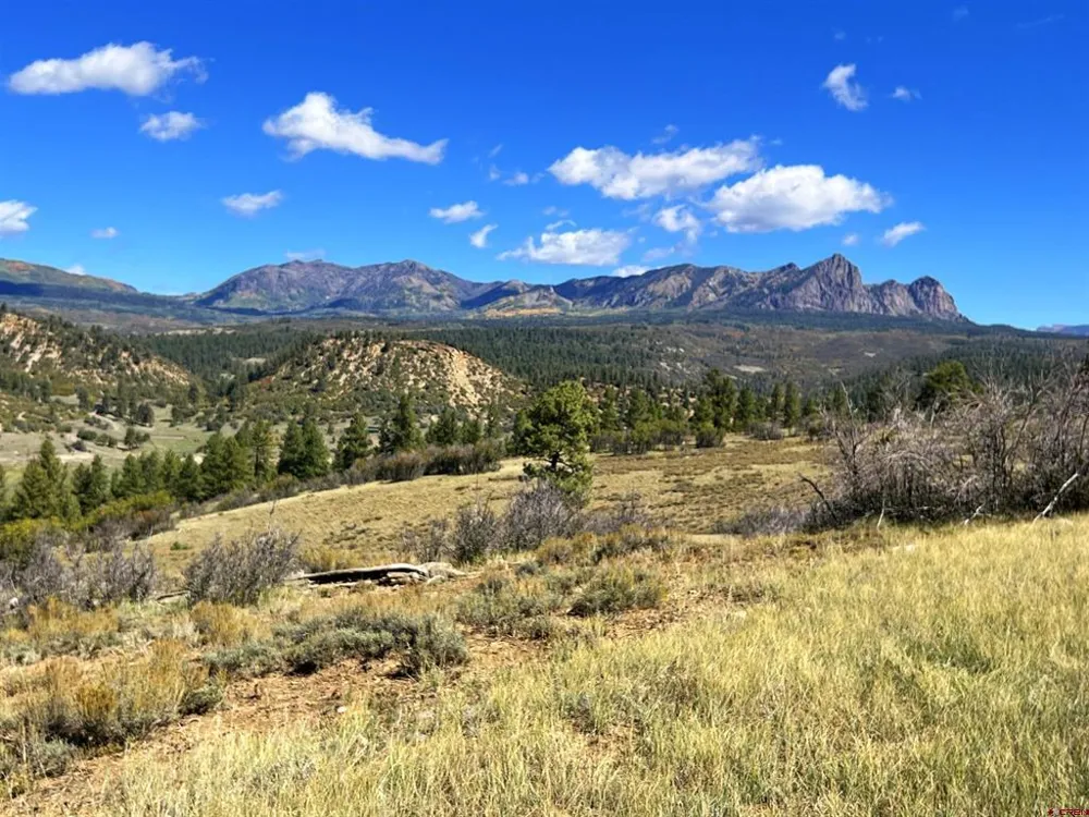 362 Mary's Court Pagosa Springs, CO 81128