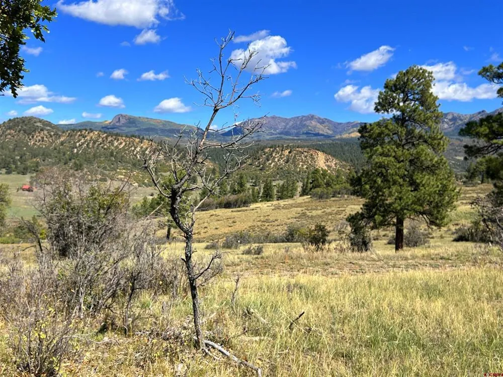 362 Mary's Court Pagosa Springs, CO 81128