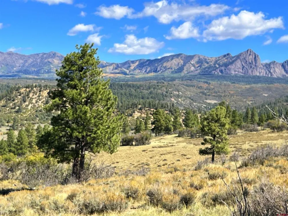 362 Mary's Court Pagosa Springs, CO 81128