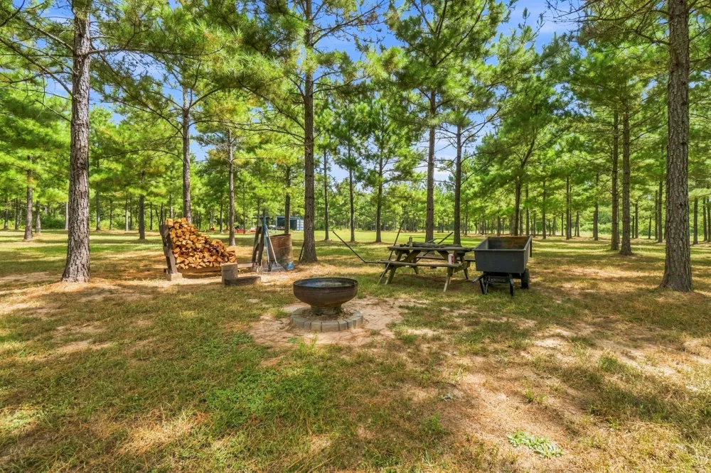 1383 Tram Road Livingston, TX 77351