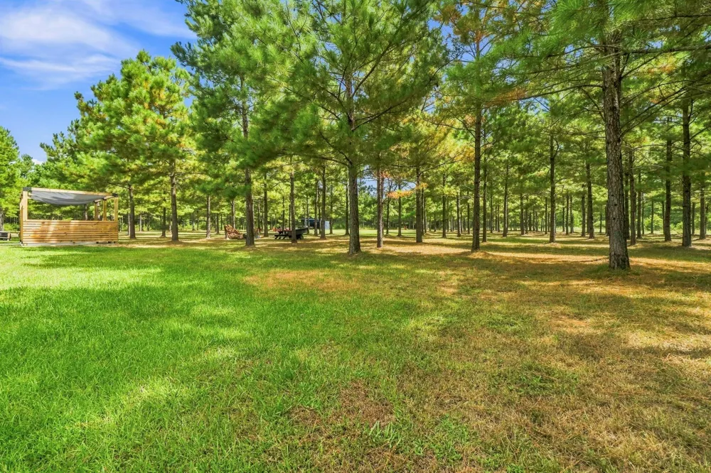 1383 Tram Road Livingston, TX 77351
