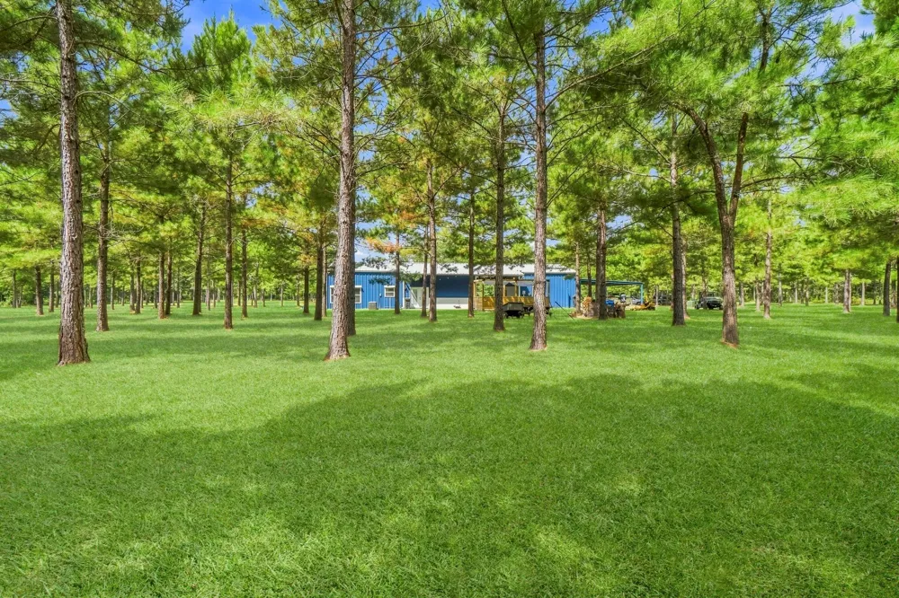1383 Tram Road Livingston, TX 77351