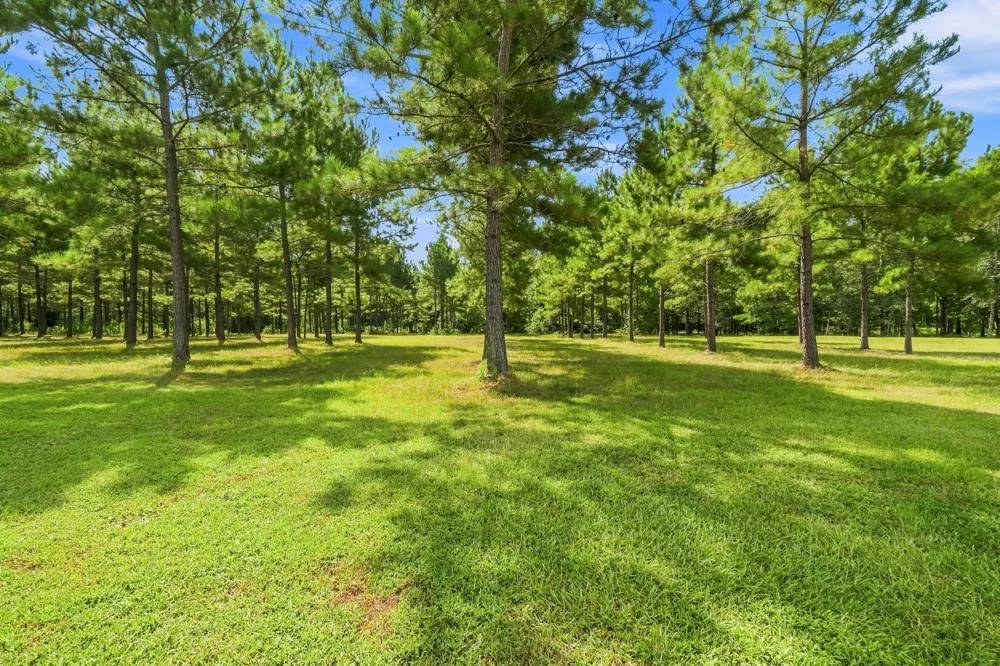 1383 Tram Road Livingston, TX 77351