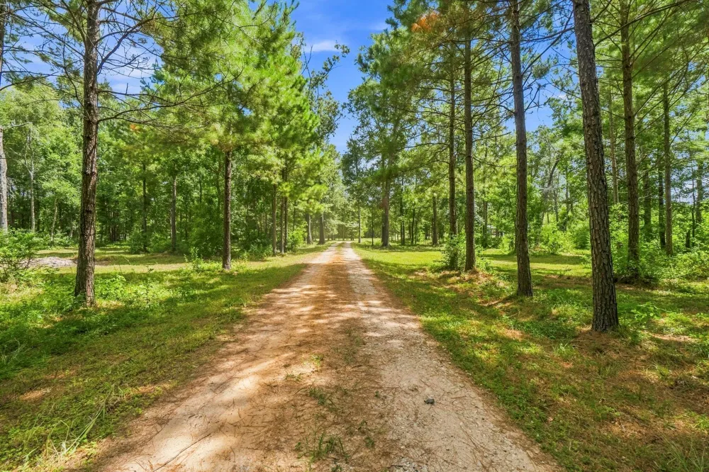 1383 Tram Road Livingston, TX 77351