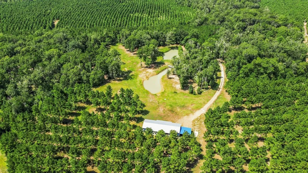 1383 Tram Road Livingston, TX 77351