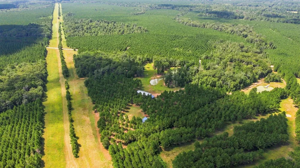 1383 Tram Road Livingston, TX 77351