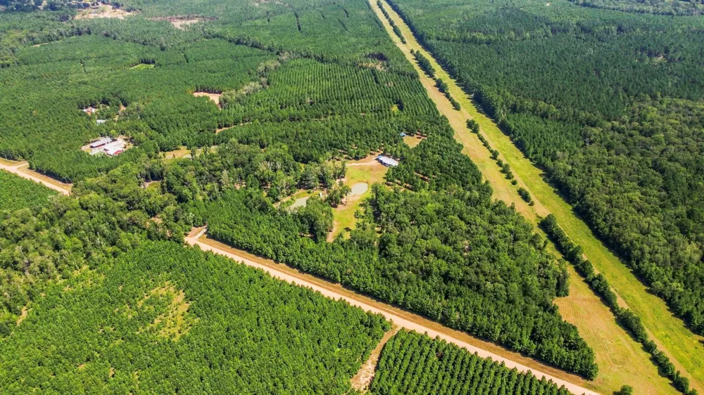 1383 Tram Road Livingston, TX 77351