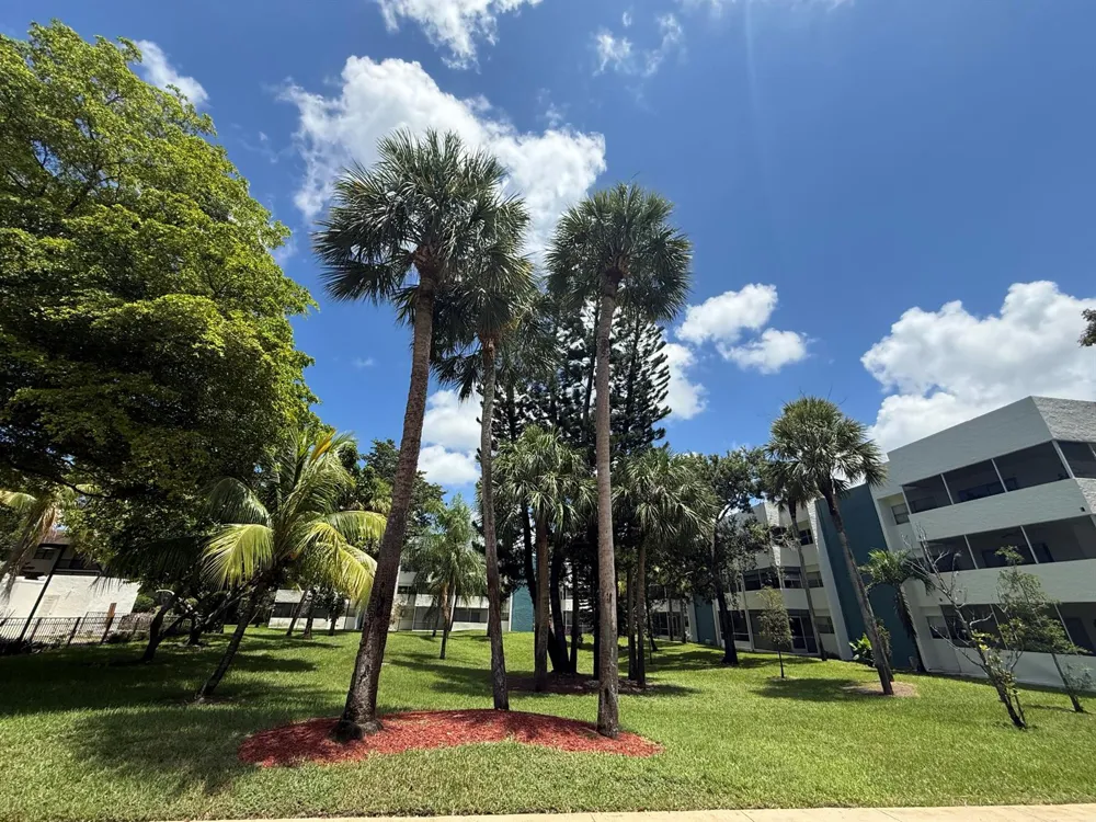 5155 E SABAL PALM BOULEVARD #209 Tamarac, FL 33319