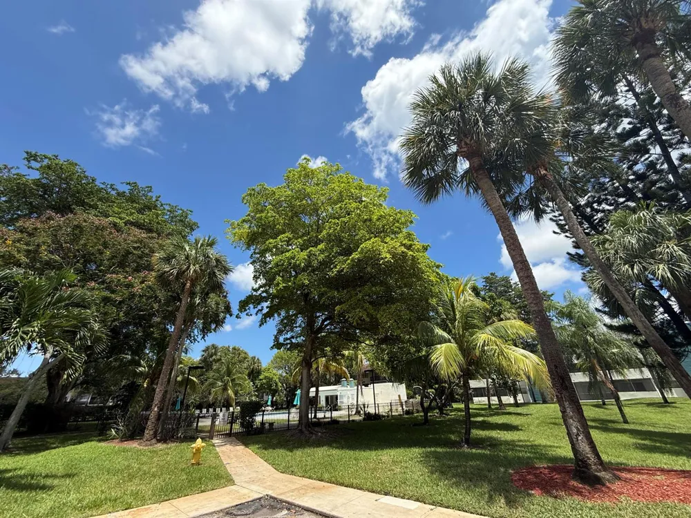 5155 E SABAL PALM BOULEVARD #209 Tamarac, FL 33319
