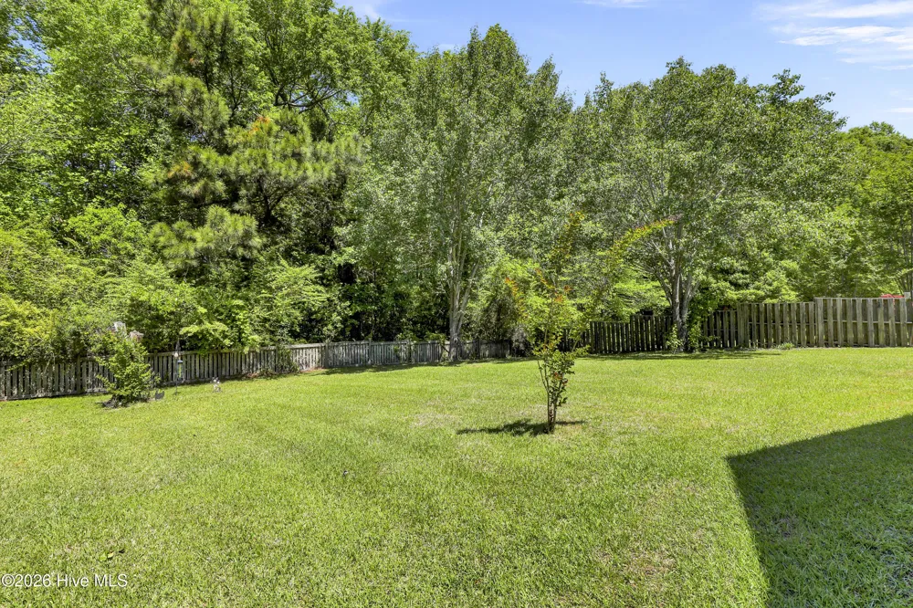 1124 Mill Run Road Sneads Ferry, NC 28460
