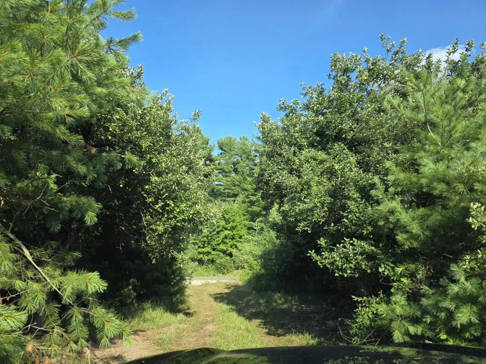 14773 180th Avenue Stanwood, MI 49346