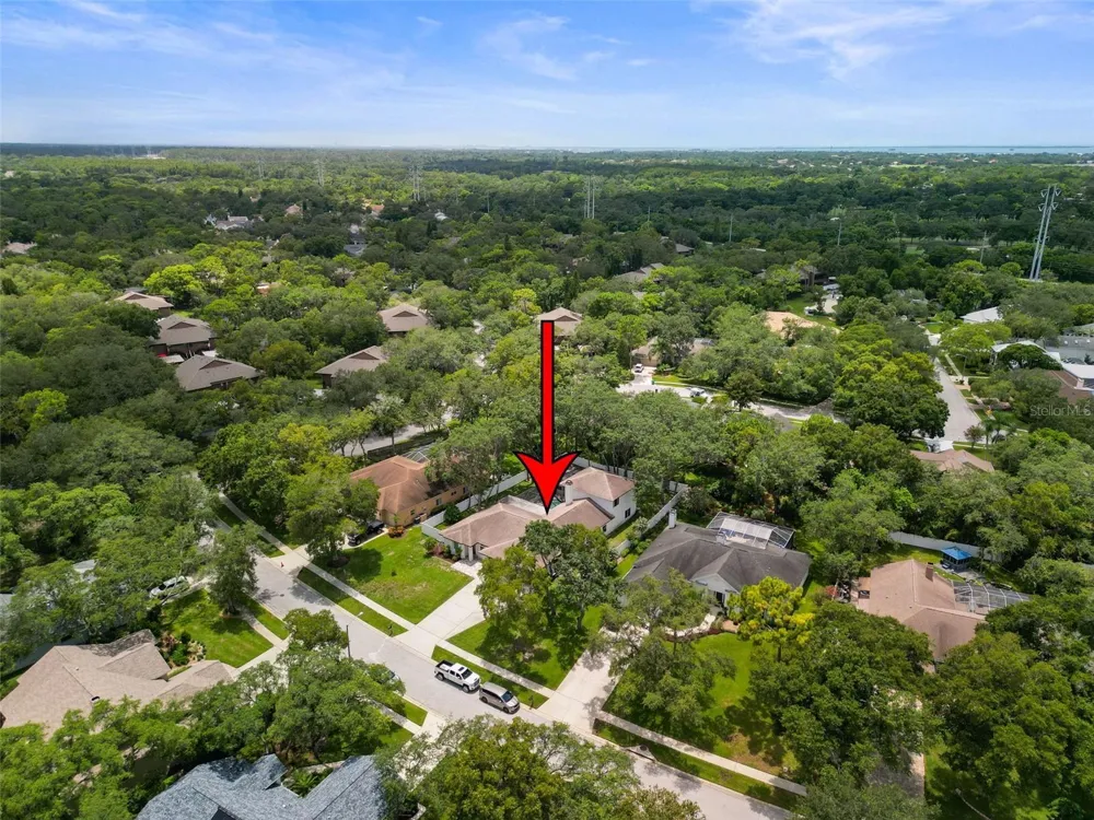 4448 GLENBROOK DRIVE Palm Harbor, FL 34683