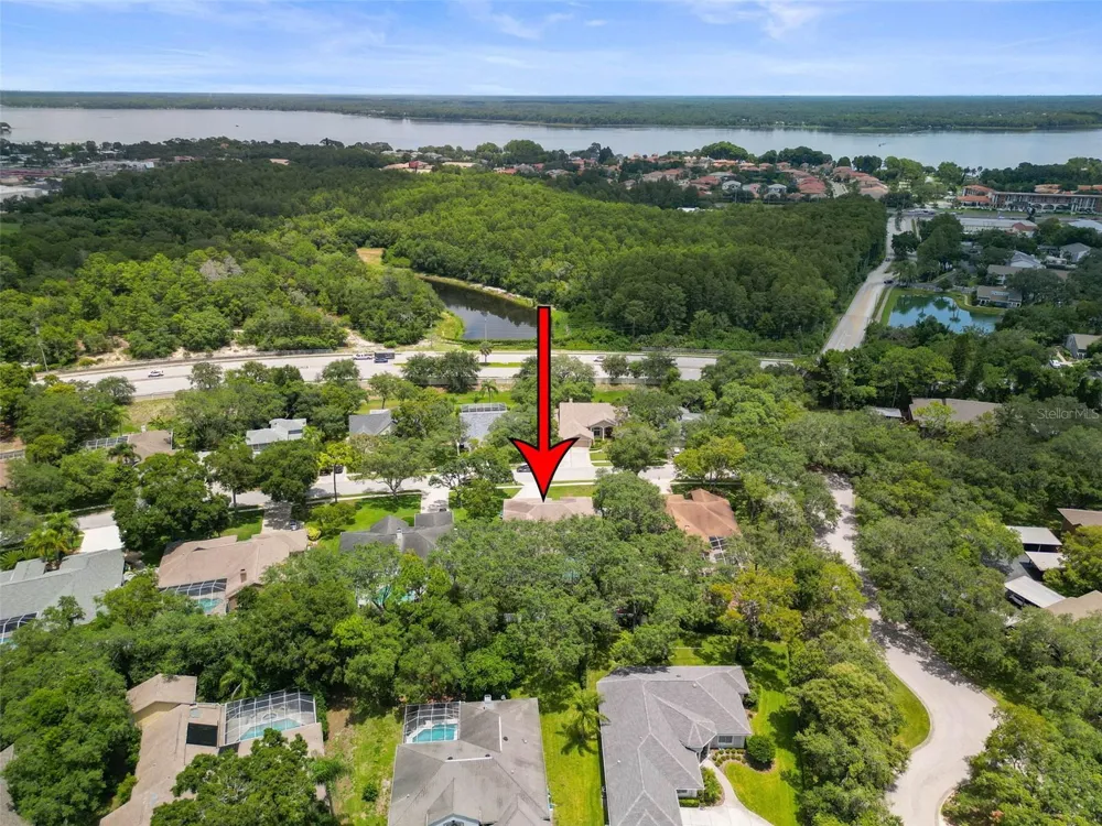 4448 GLENBROOK DRIVE Palm Harbor, FL 34683