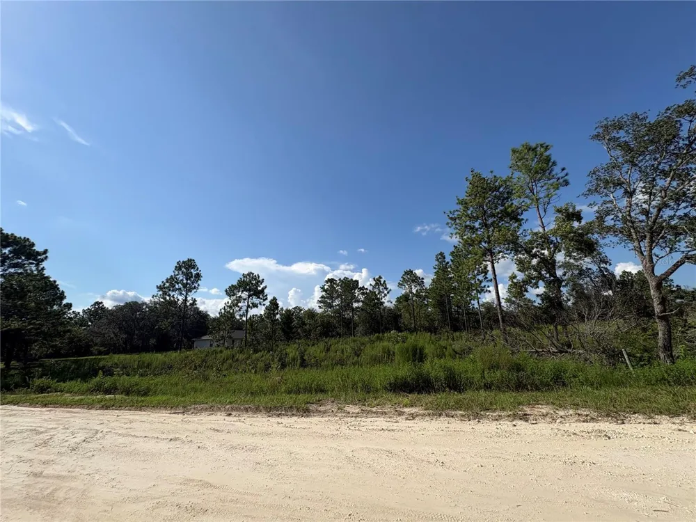 SW 85TH PLACE ocala, FL 34481
