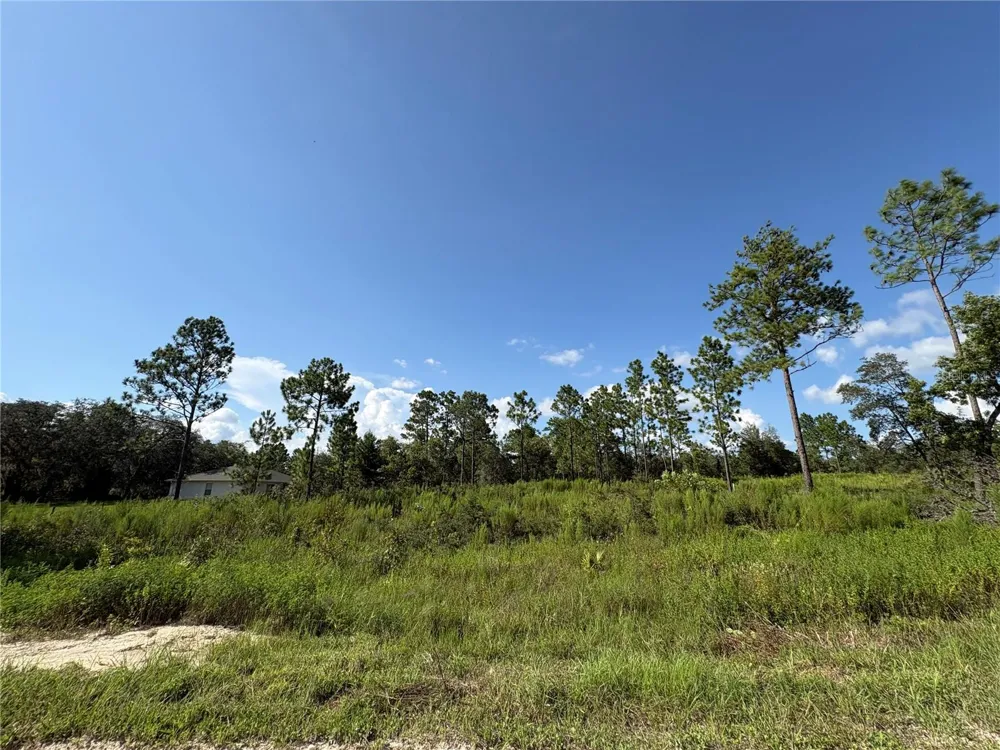 SW 85TH PLACE ocala, FL 34481