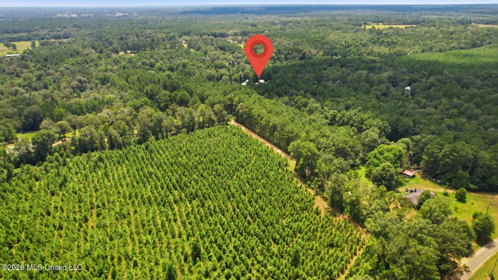 107a Brock Road Tylertown, MS 39667