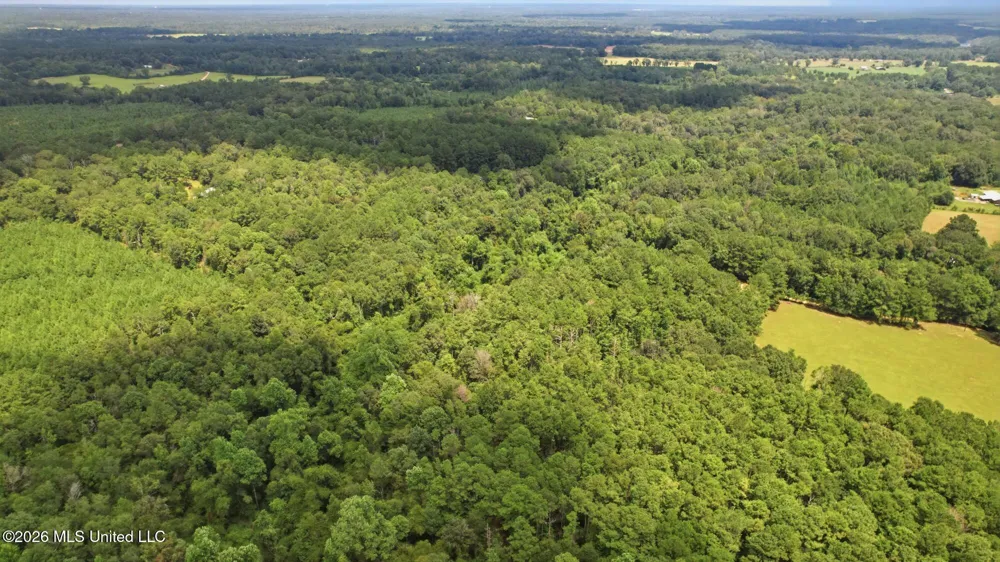 107a Brock Road Tylertown, MS 39667
