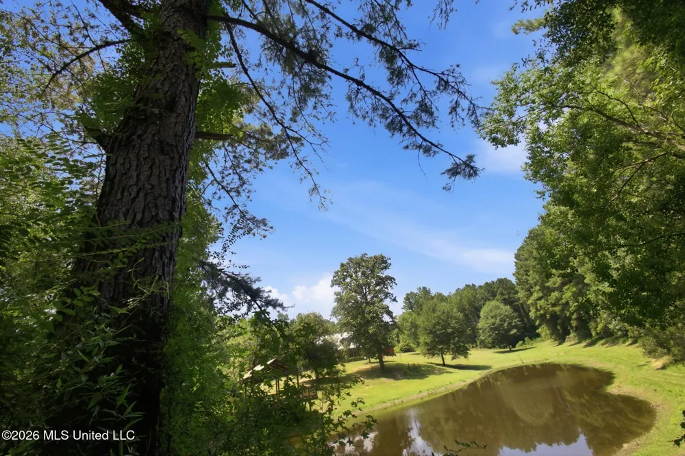 107a Brock Road Tylertown, MS 39667