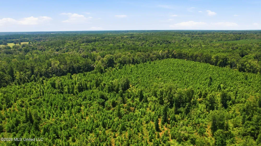 107a Brock Road Tylertown, MS 39667