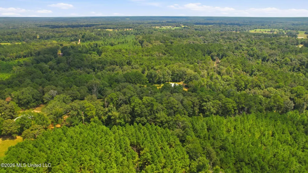 107a Brock Road Tylertown, MS 39667
