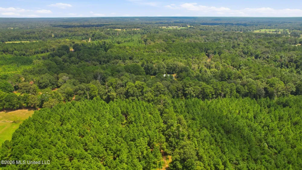 107a Brock Road Tylertown, MS 39667