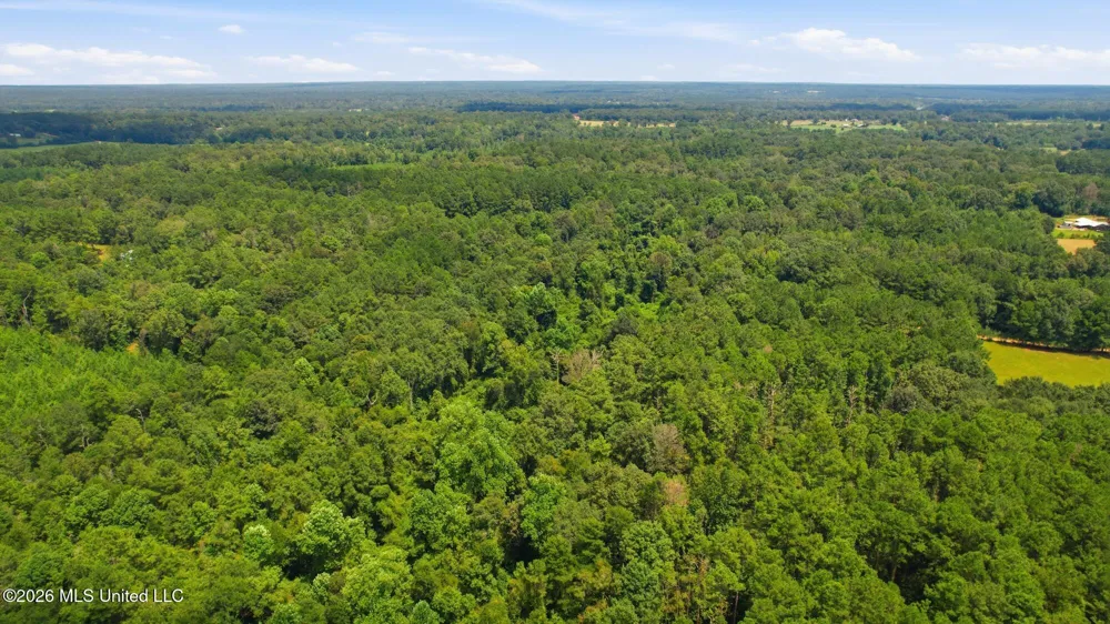 107a Brock Road Tylertown, MS 39667