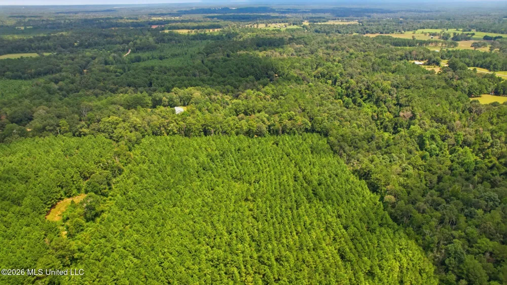 107a Brock Road Tylertown, MS 39667