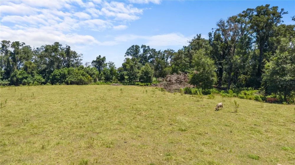 NW 65TH AVENUE Trenton, FL 32693