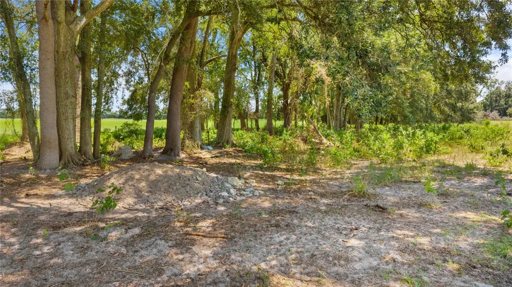 NW 65TH AVENUE Trenton, FL 32693