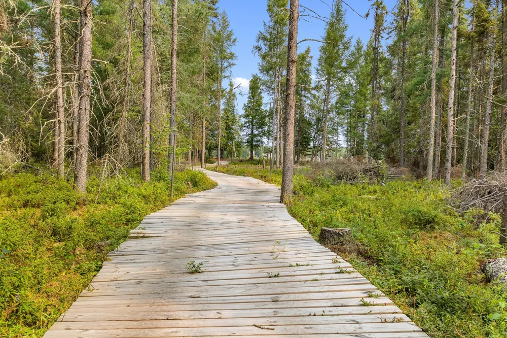 1233 Cameron Drive Cotton, MN 55724
