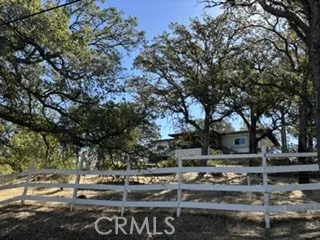 15569 Joseph Trail