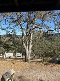 15569 Joseph Trail Lower Lake, CA 95457
