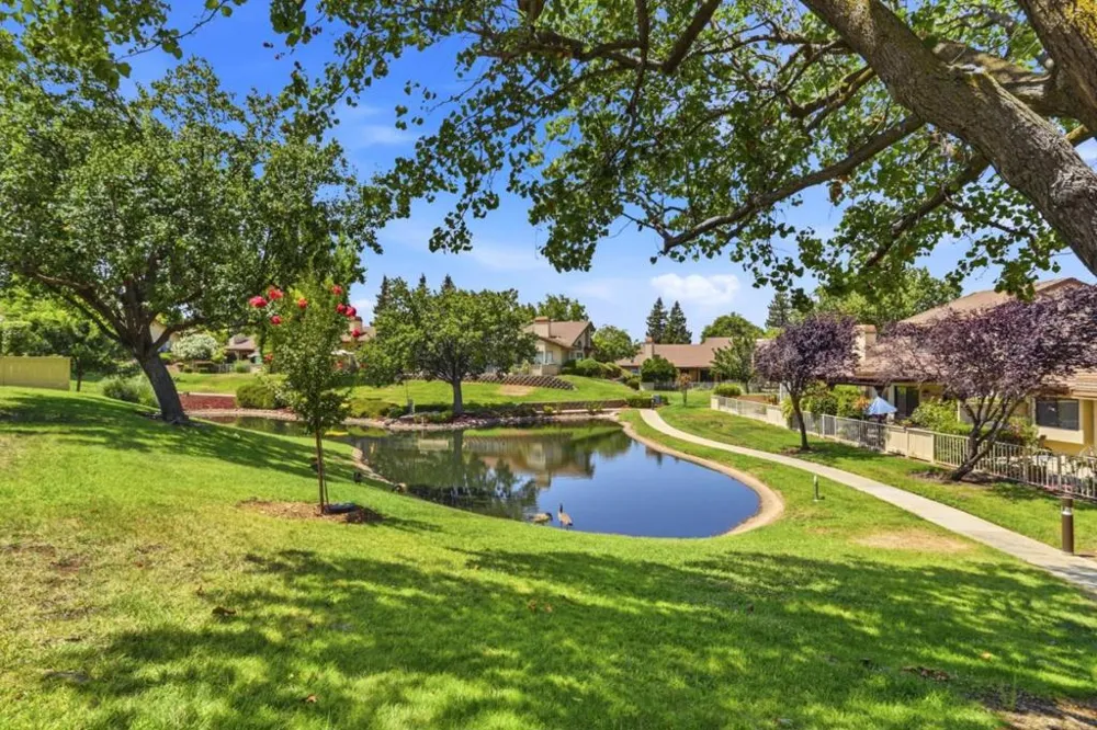 3364 Bolsena Court San Jose, CA 95135