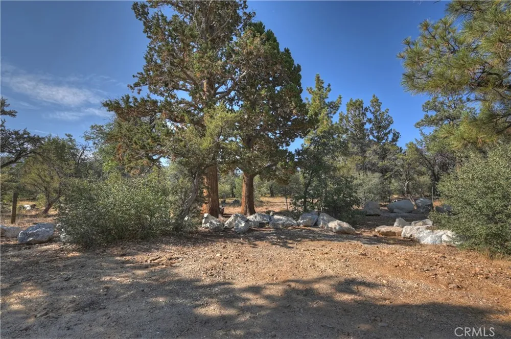 853 Los Angeles Sugarloaf, CA 92386