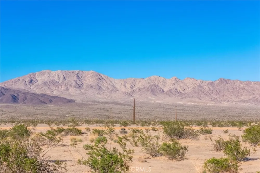 84753 Eddie Albert 29 Palms, CA 92277