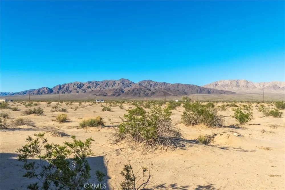 84753 Eddie Albert 29 Palms, CA 92277