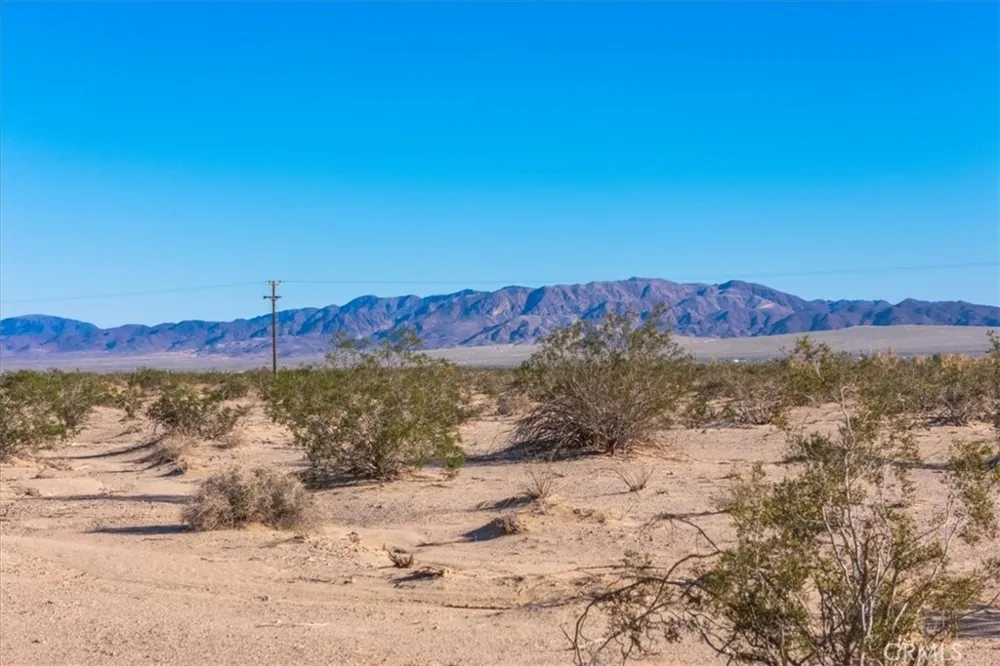 84753 Eddie Albert 29 Palms, CA 92277
