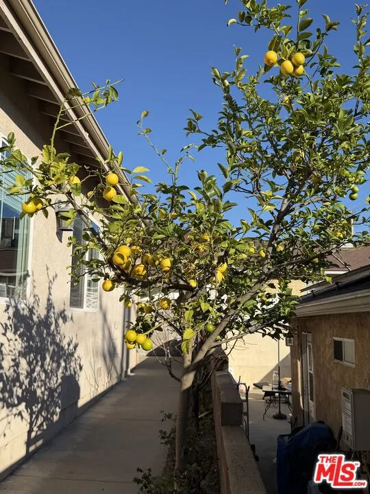10006 Samoa Avenue Tujunga, CA 91042