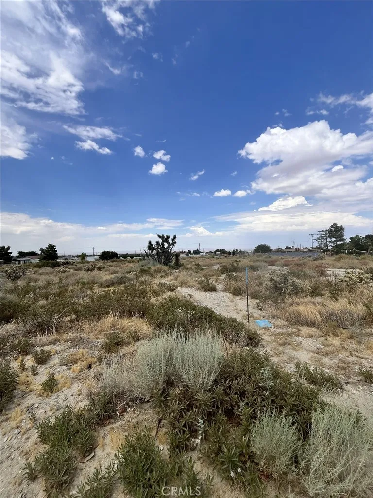 Hollister Road Phelan, CA 92371