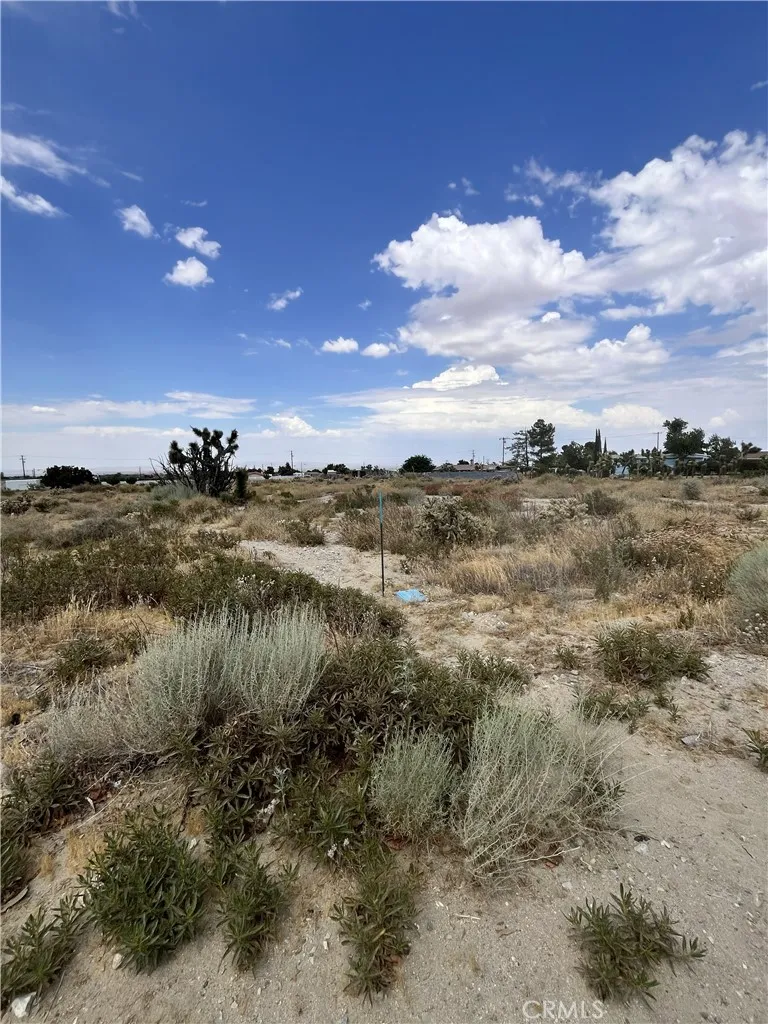 Hollister Road Phelan, CA 92371