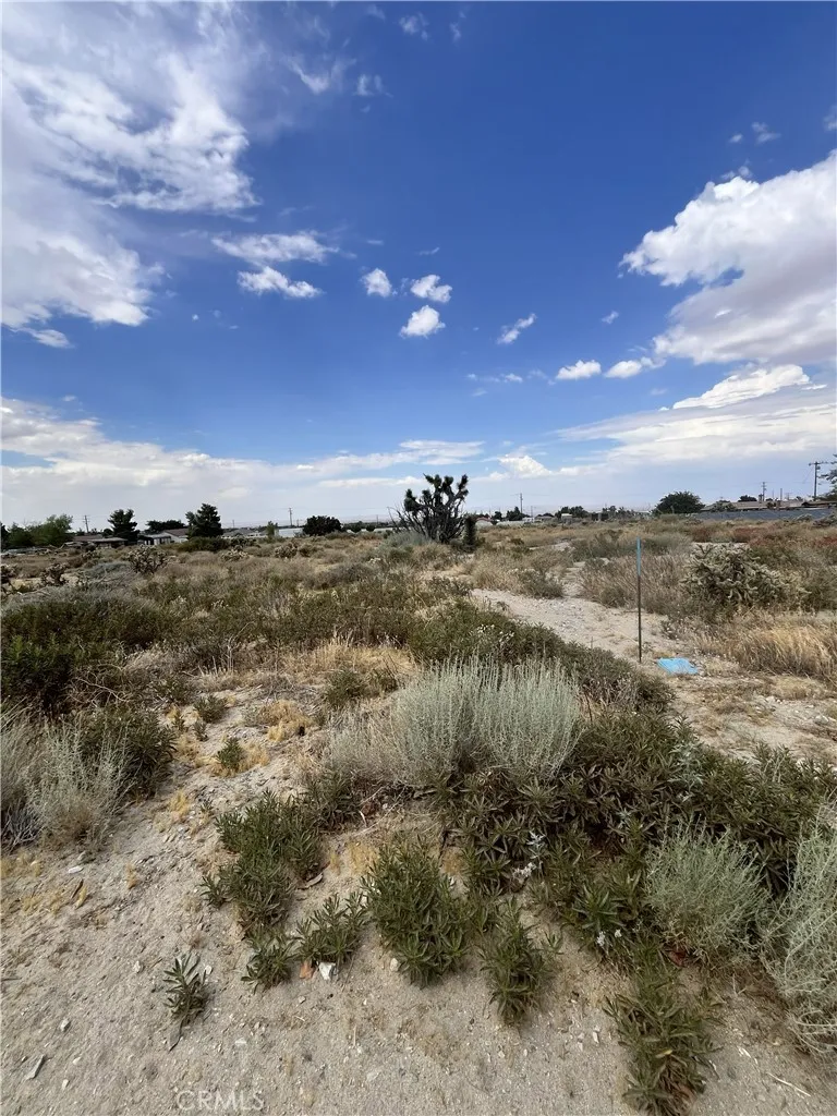 Hollister Road Phelan, CA 92371