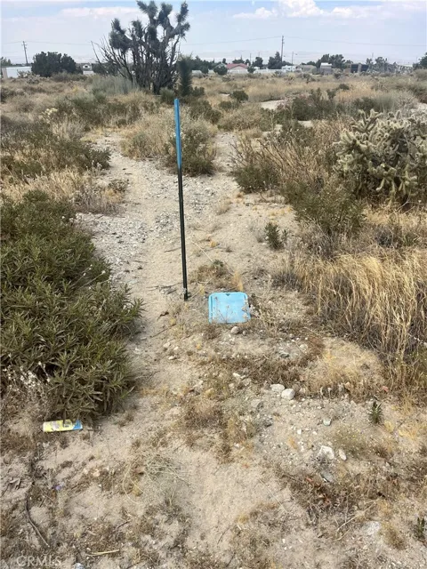 Hollister Road