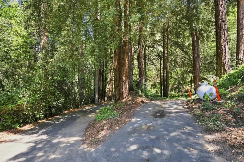 3131 Branciforte Drive Santa Cruz, CA 95065