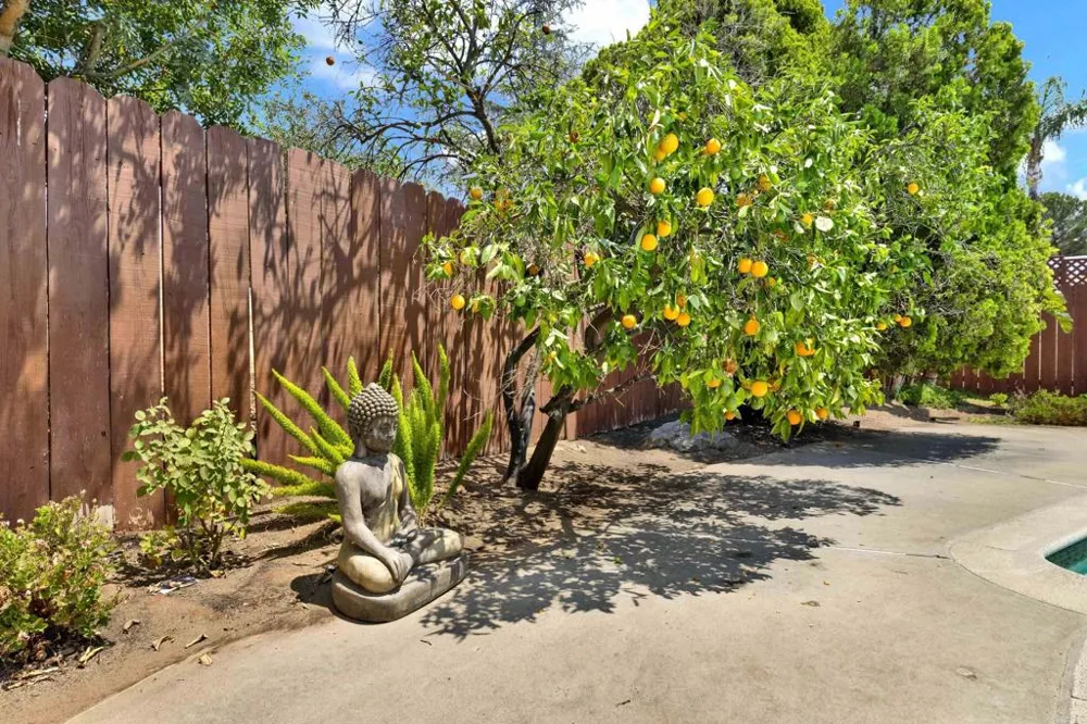 1402 Big Red Road Alpine, CA 91901