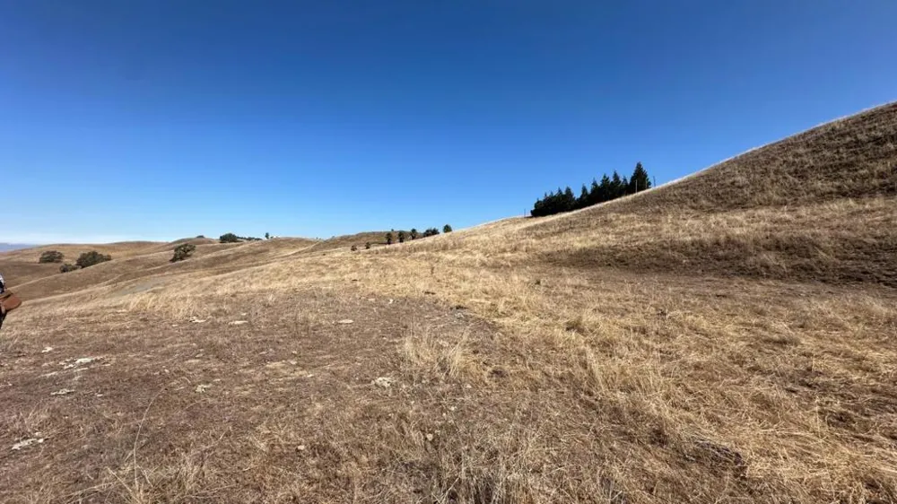 Finley Ridge Court Morgan Hill, CA 95037