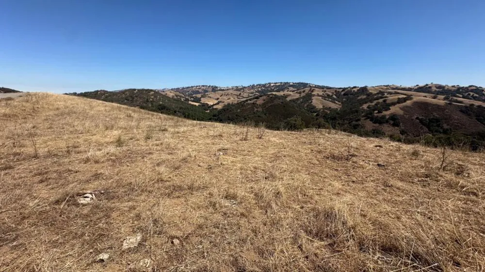 Finley Ridge Court Morgan Hill, CA 95037