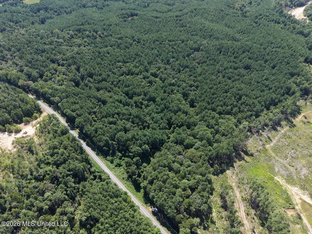 1669 Burt Jordan Road Meadville, MS 39653